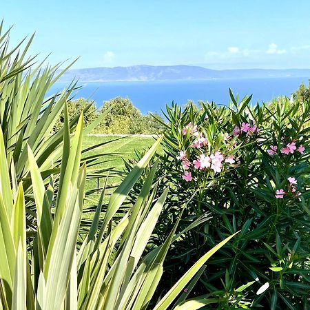 Luxury Panorama Vila With Amazing Seaview In Gondolici 7 Km From Rabac Labin  Exterior foto