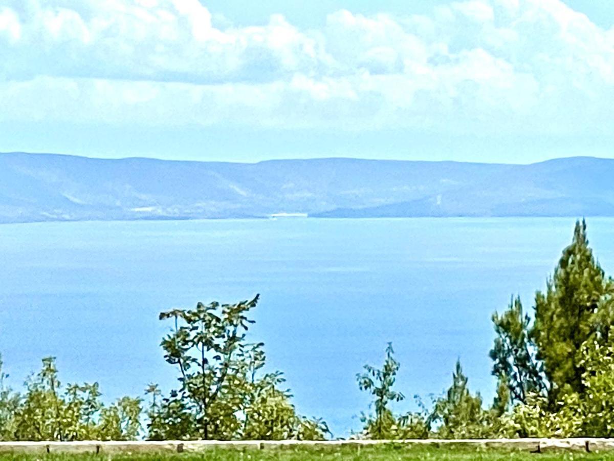 Luxury Panorama Vila With Amazing Seaview In Gondolici 7 Km From Rabac Labin  Exterior foto