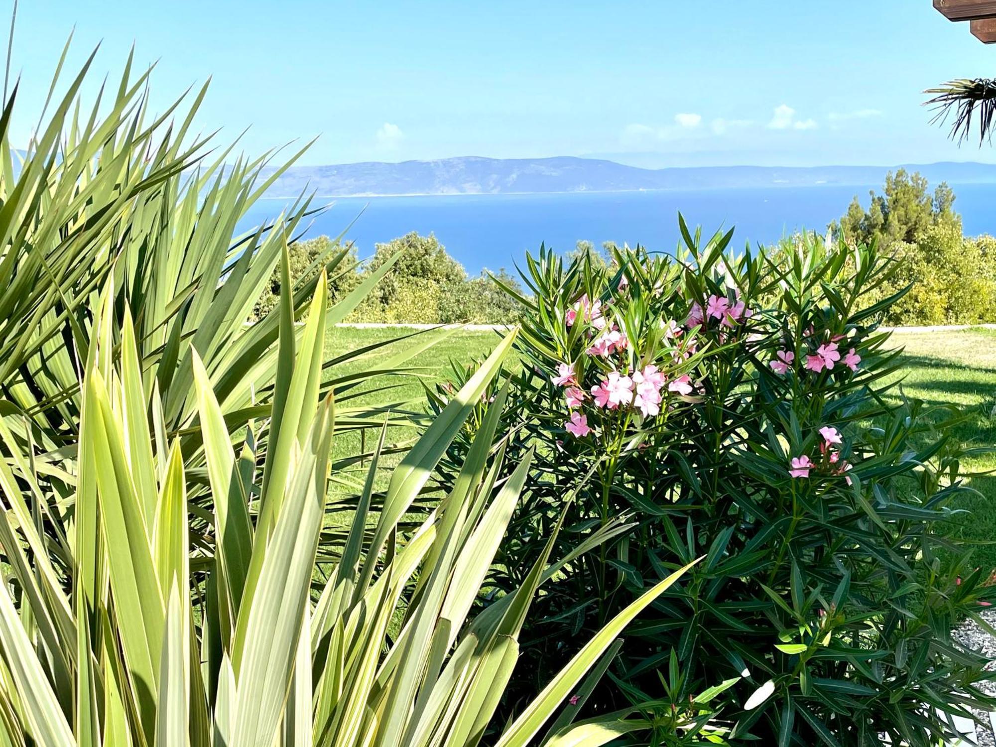 Luxury Panorama Vila With Amazing Seaview In Gondolici 7 Km From Rabac Labin  Exterior foto
